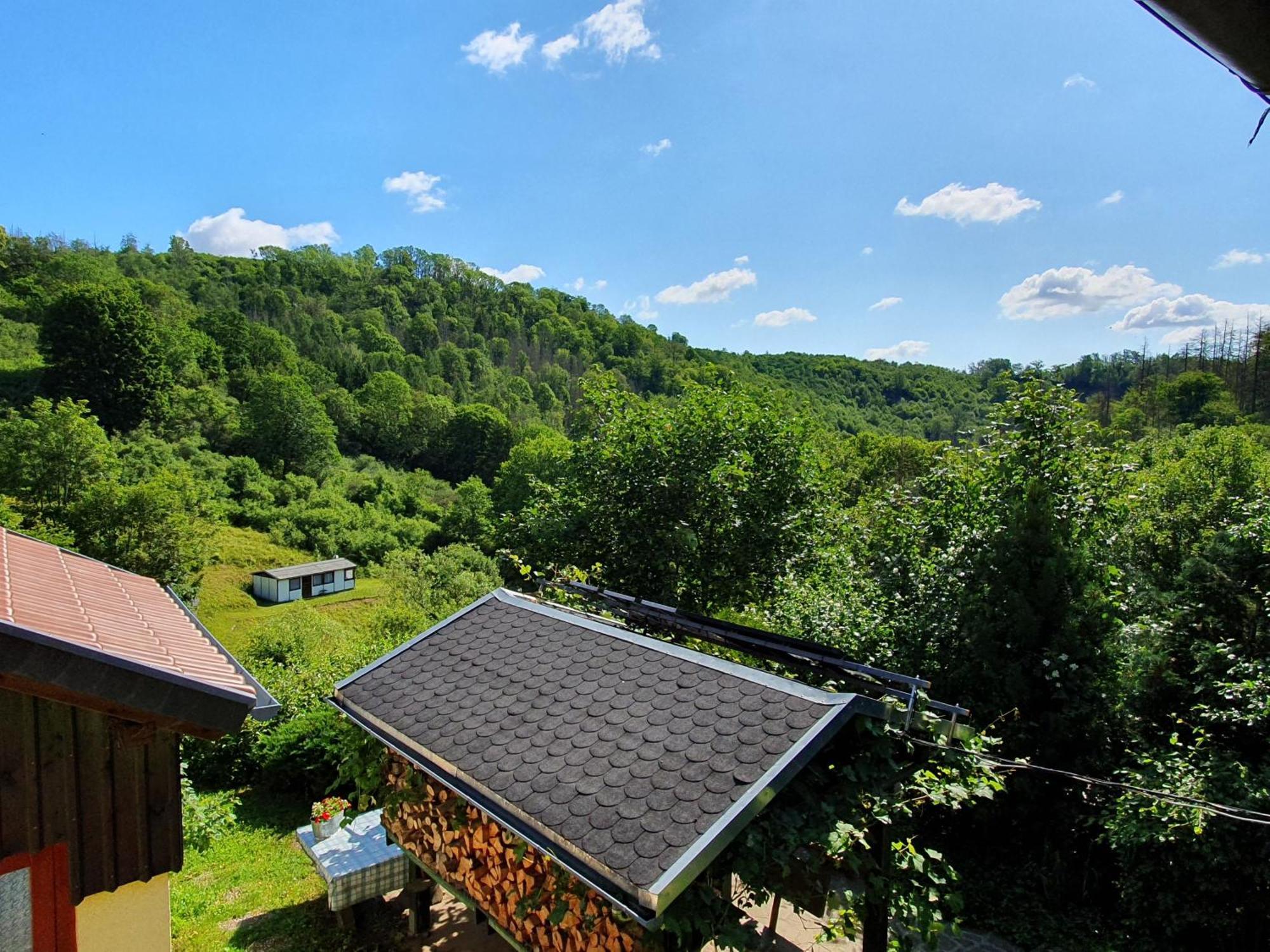 Das Gruene Haus Am Hexenstieg リューベラント エクステリア 写真
